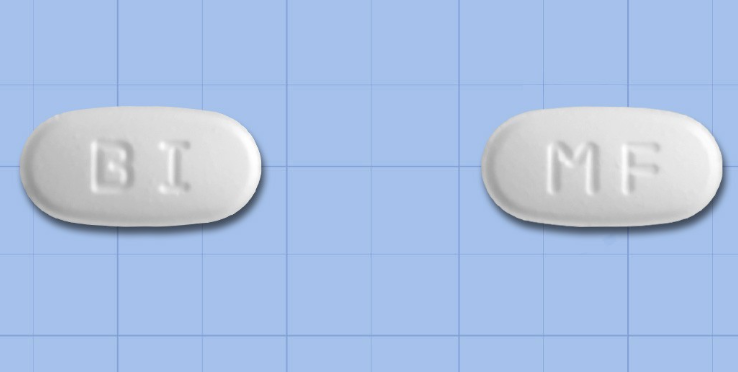 바이넥스모니플루메이트정 약