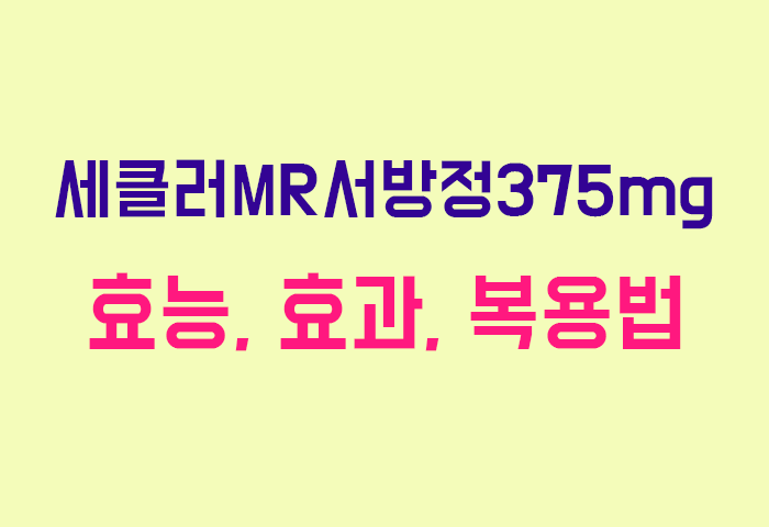 세클러MR서방정375mg