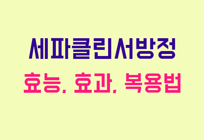 세파클린서방정