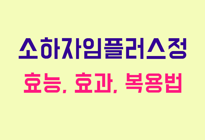 소하자임플러스정