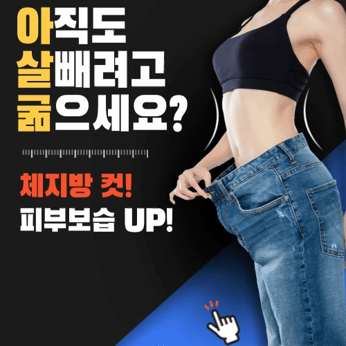 신비감 다이어트