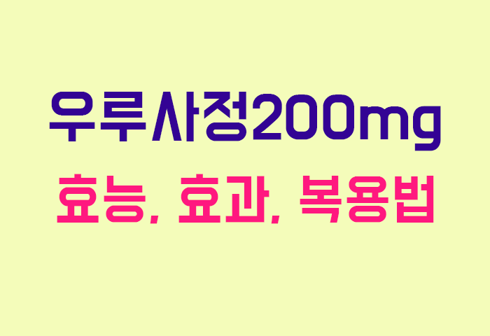 우루사정200mg