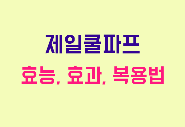 제일쿨파프