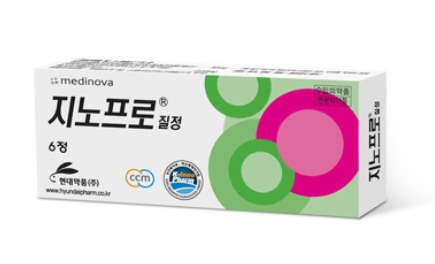 지노프로질정 약
