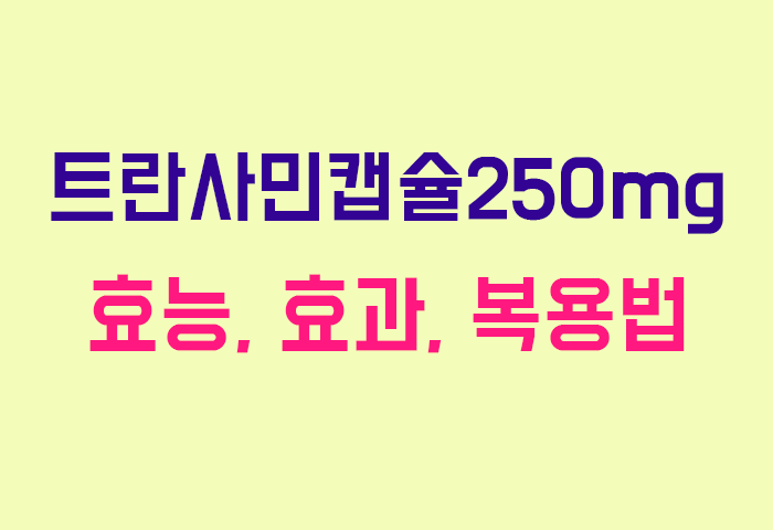 트란사민캡슐250mg