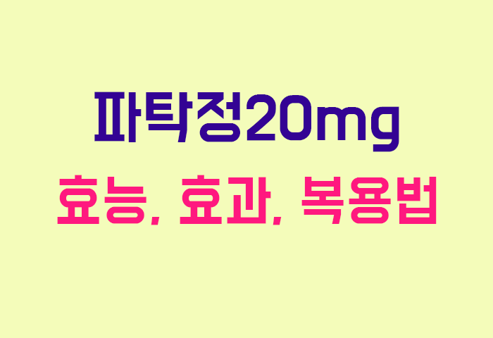 파탁정20mg