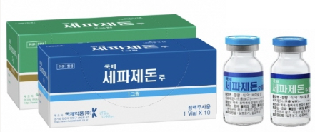 국제세파제돈주1g 약