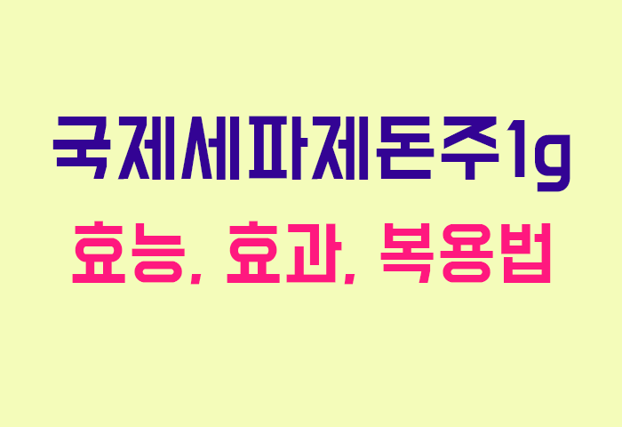 국제세파제돈주1g