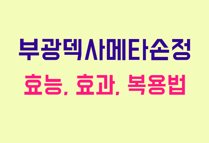 부광덱사메타손정