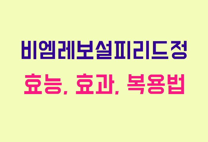 비엠레보설피리드정