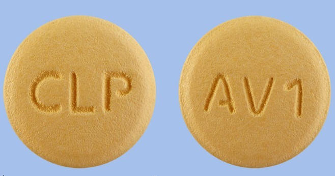 셀트포지정5/80mg 약