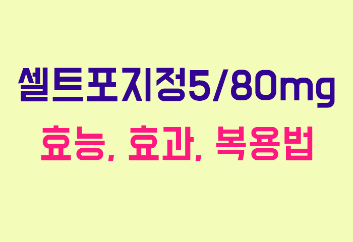 셀트포지정5/80mg