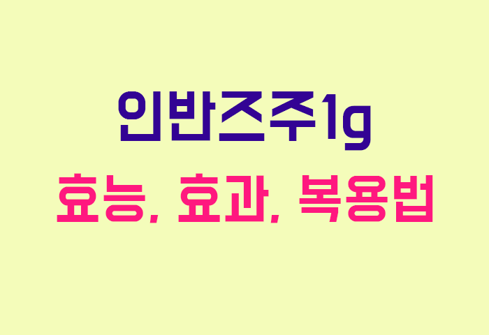 인반즈주1g
