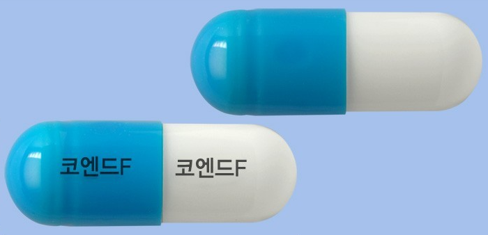 코엔드에프캡슐 약