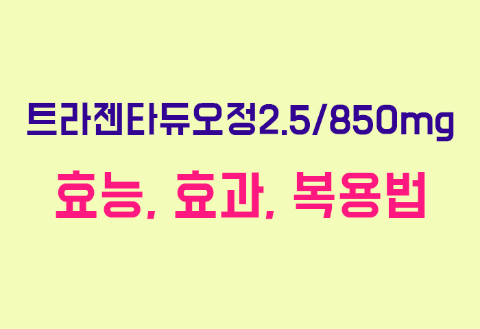 트라젠타듀오정2.5/850mg