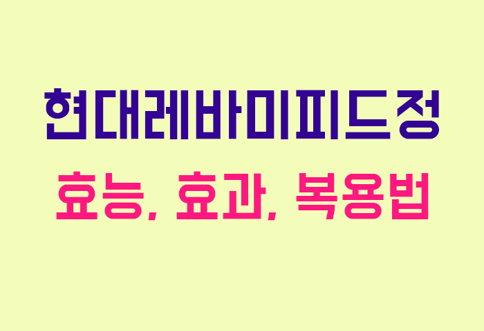 현대레바미피드정