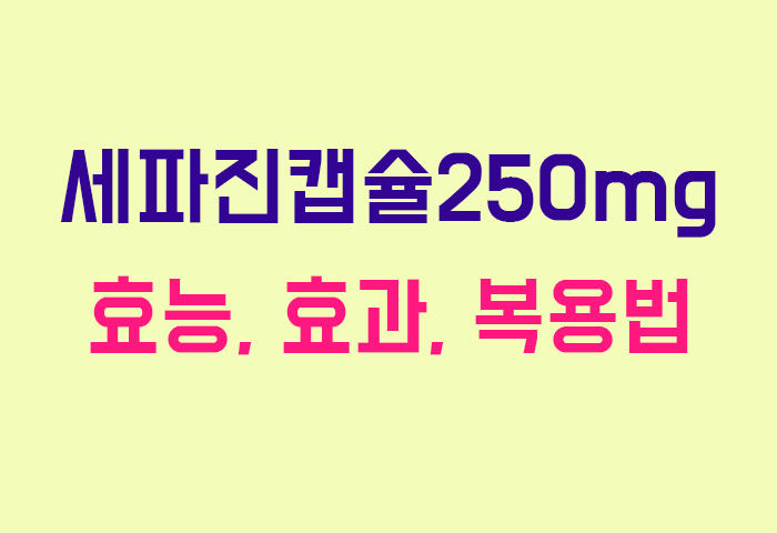 세파진캡슐250mg