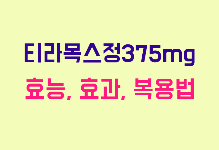 티라목스정375mg