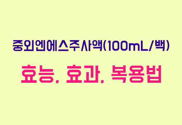 중외엔에스주사액(100mL/백)