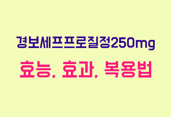 경보세프프로질정250mg