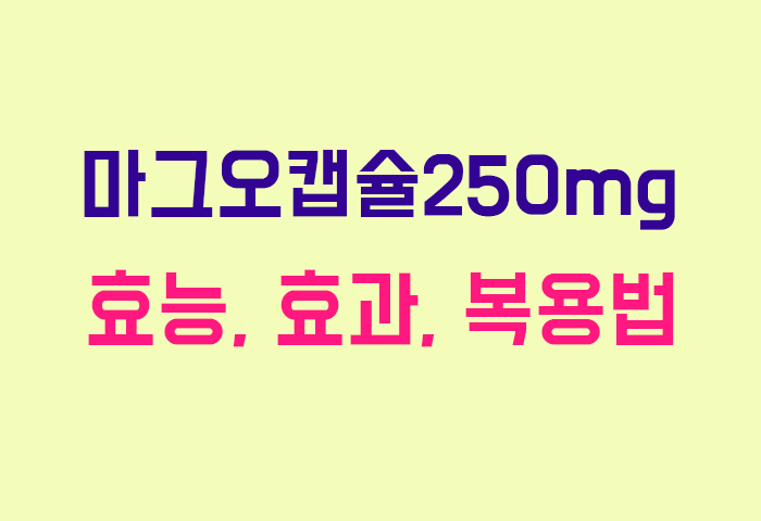 마그오캡슐250mg