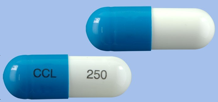 쎄클러캡슐250mg 약