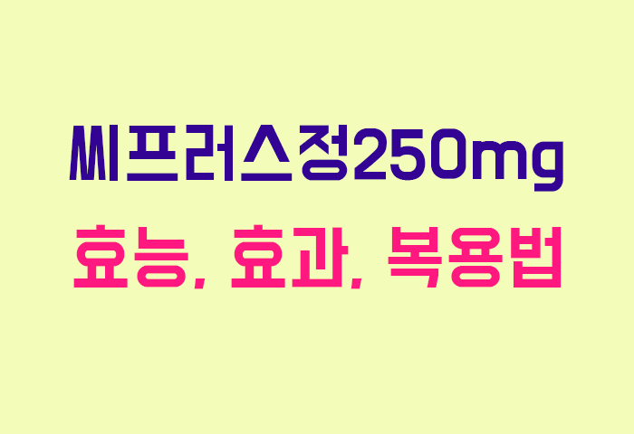 씨프러스정250mg