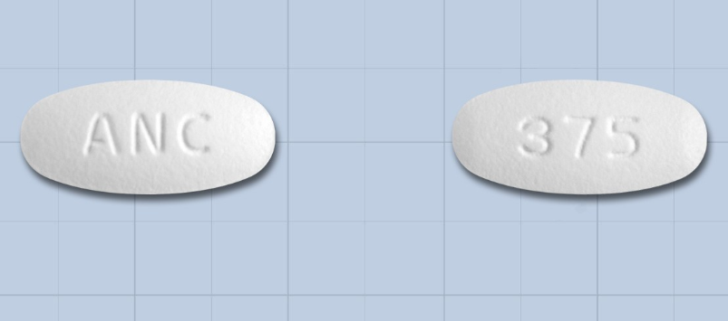 애니크라정375mg 약