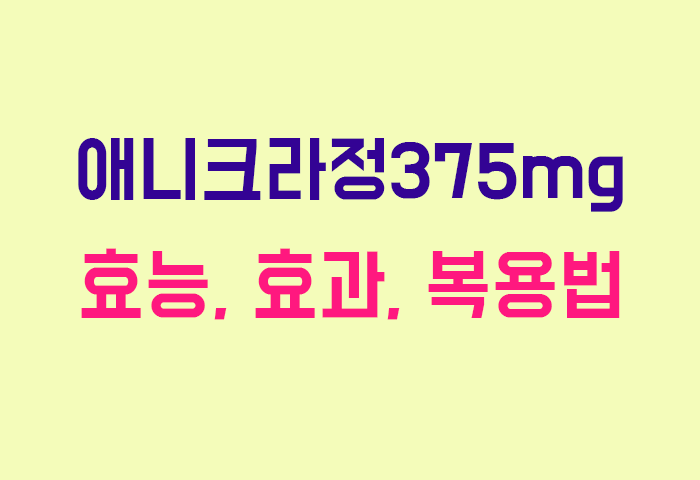 애니크라정375mg
