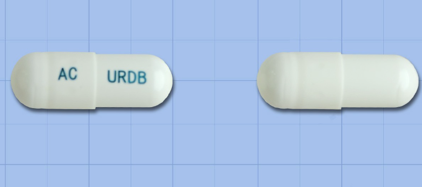 우르디비캡슐 약