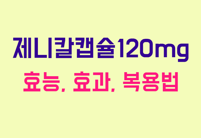 제니칼캡슐120mg