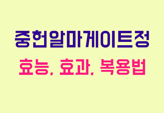 중헌알마게이트정