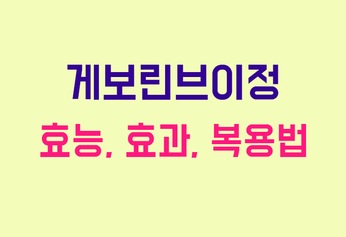 게보린브이정