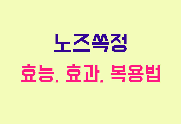 노즈쏙정