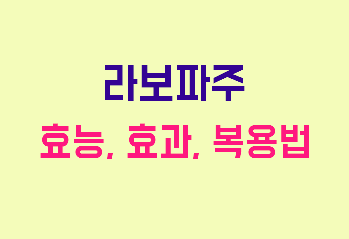 라보파주