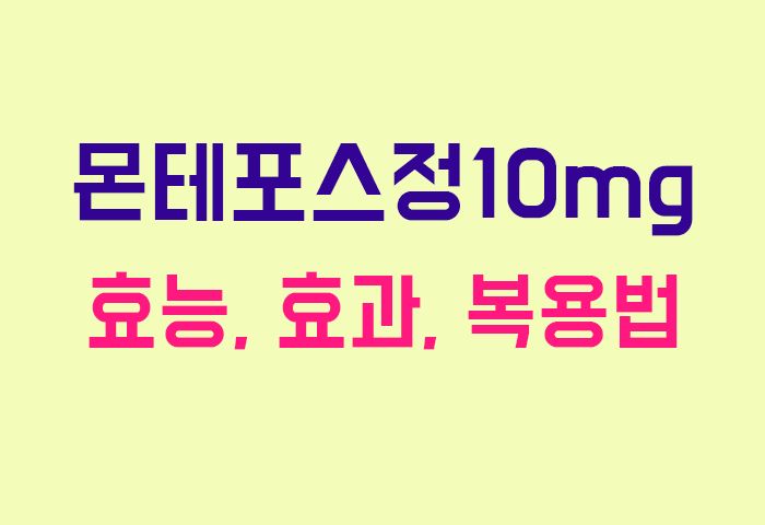 몬테포스정10mg