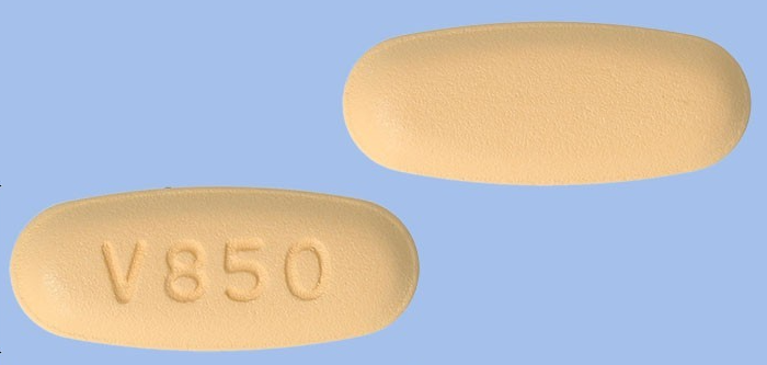 빌다글메트정50/850mg 약