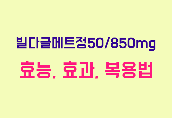 빌다글메트정50/850mg