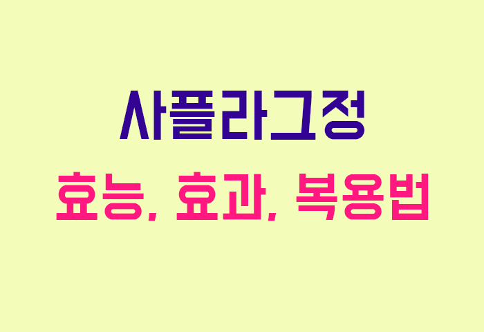 사플라그정
