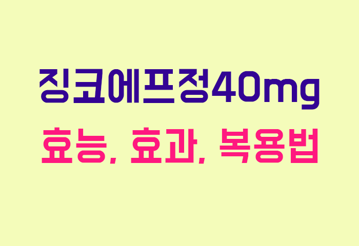 징코에프정40mg