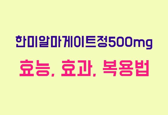 한미알마게이트정500mg