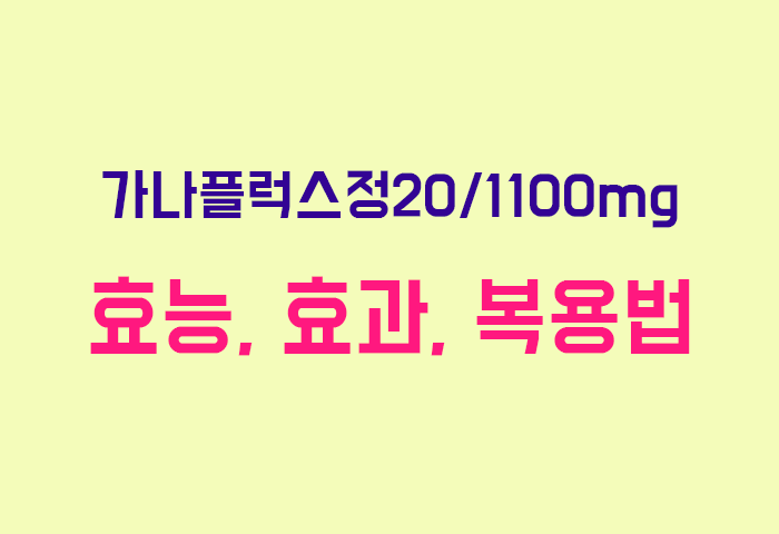 가나플럭스정20/1100mg