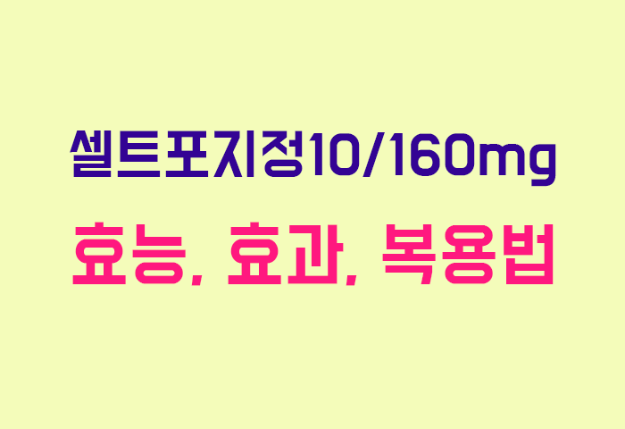 셀트포지정10/160mg