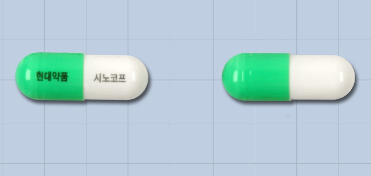 시노코프캡슐 약