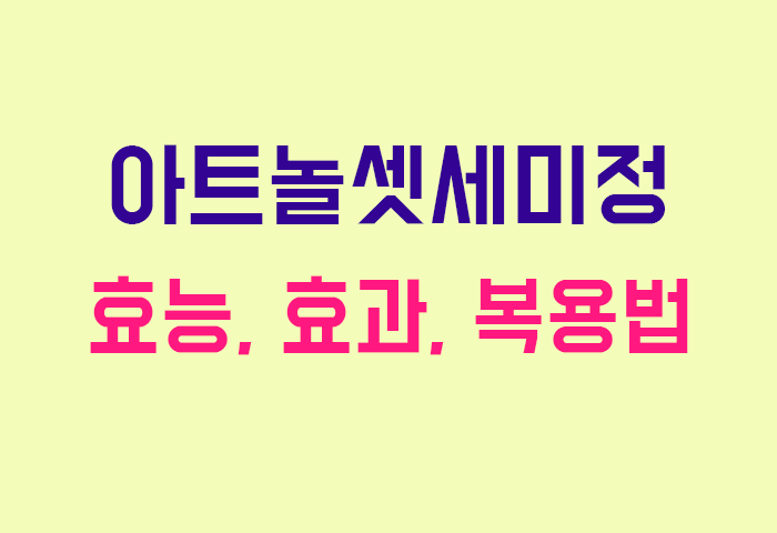 아트놀셋세미정