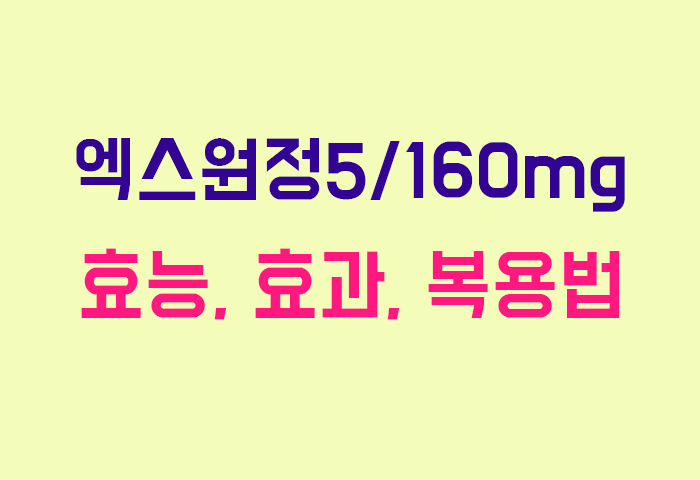 엑스원정5/160mg