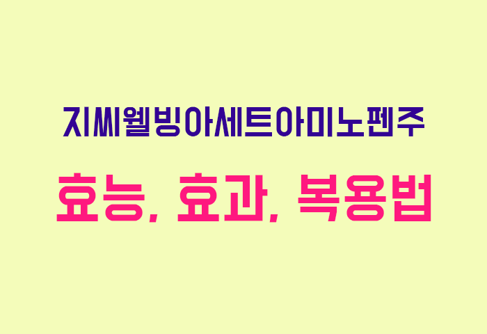 지씨웰빙아세트아미노펜주