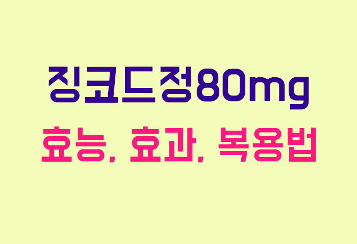징코드정80mg
