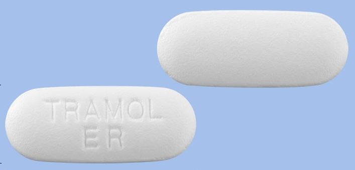 트라몰8시간서방정650mg 약