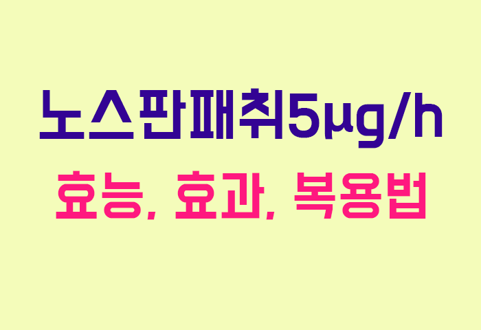 노스판패취5μg/h